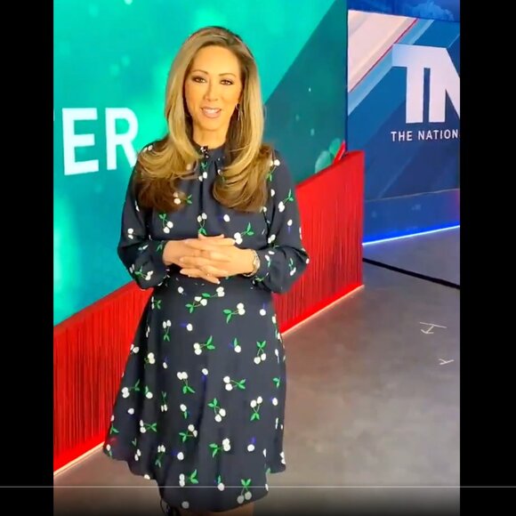 NWT Banana Republic Cherry Print Fit & Flare Dress Blouson Sleeve 12P Navy Women - Picture 2 of 4